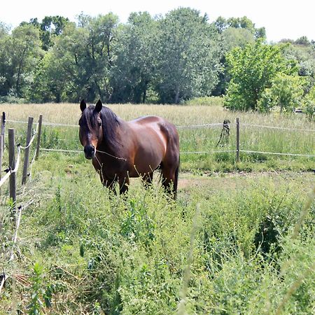 Вілла Lobilum En Camargue Сен-Мартен-де-Кро Екстер'єр фото